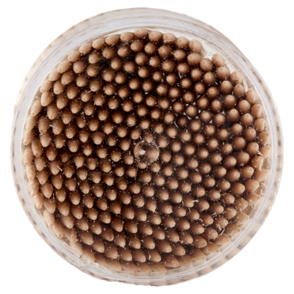 Selex Stuzzicadenti Doppia Punta in Betulla Sterilizzati 250 pezzi