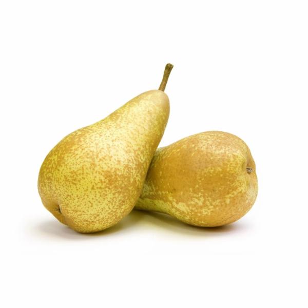 Pere Abate Spagna Cal.75/80