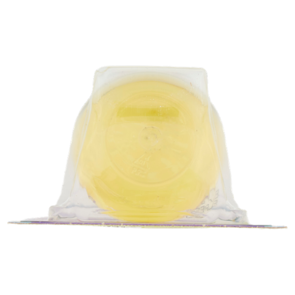 mister Magic l'Assorbiodori Frigo con Estratti di Limone 40 g