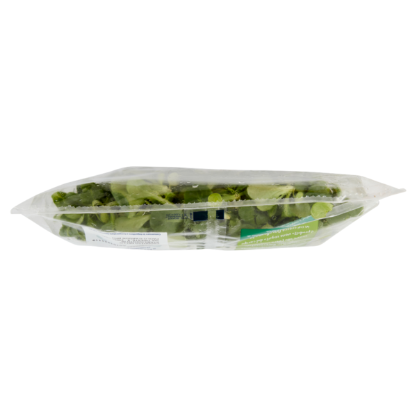 IL GIGANTE le Insalate Valeriana 100 g