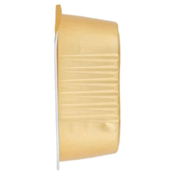 Consilia Derik Paté per Cane con Manzo 300 g