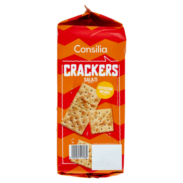 Consilia Cracker Salati in Superficie 16x31,25 g