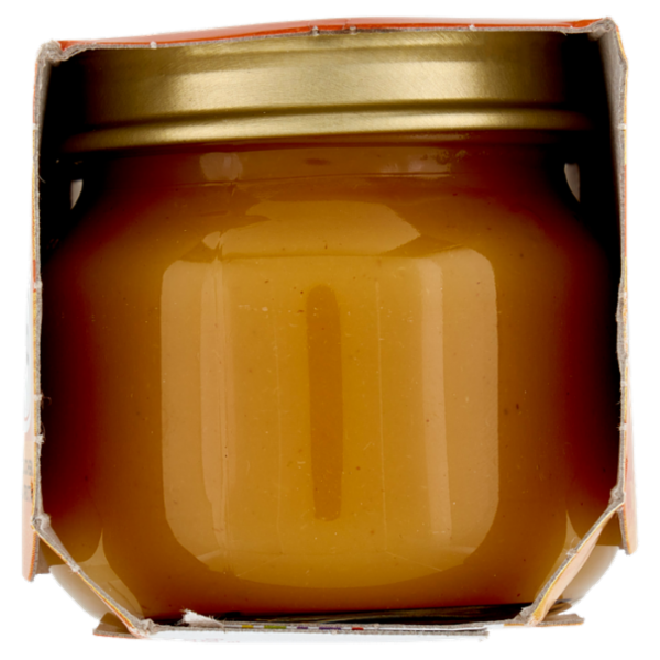 Plasmon Omogeneizzato Mela Albicocca 2 x 80 g