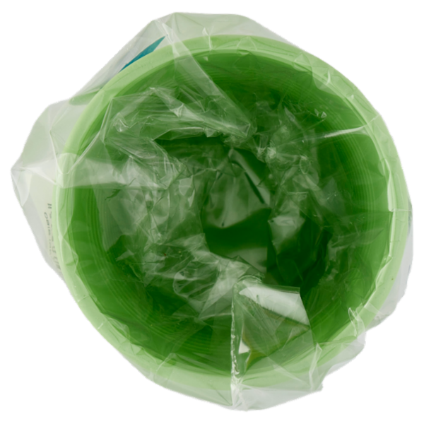 Natural Bibo Color bicchieri Verdi Biodegradabili e compostabili 200 cc 50 pz