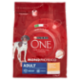 PURINA ONE Monoproteico Adult Ricco in Pollo con Riso 2,5 kg
