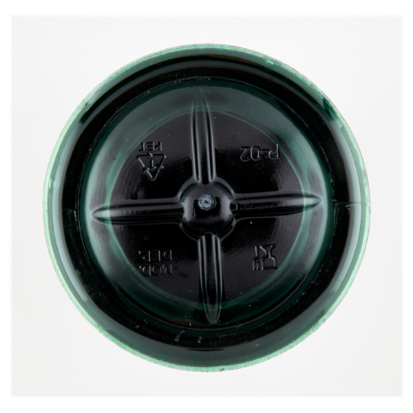 Fabbri Mixy Bar Menta delle Alpi 1 L