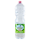 San Benedetto Acqua Naturale Primavera delle Alpi Ecogreen 2 L