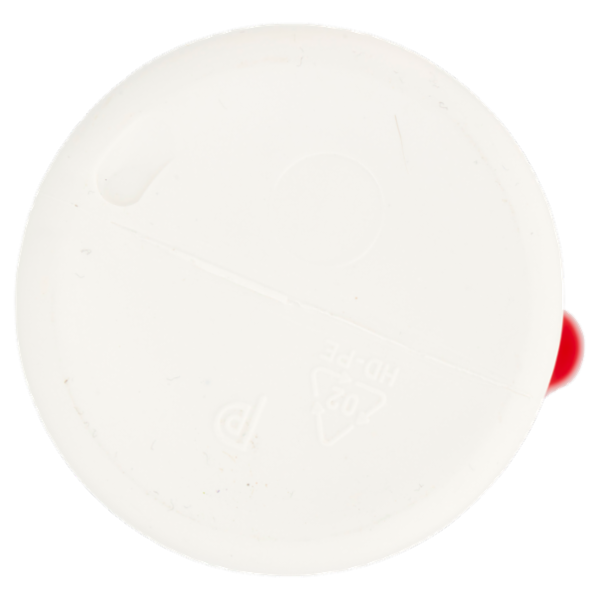 Zig Zag Insetticida Cimici 500 ml