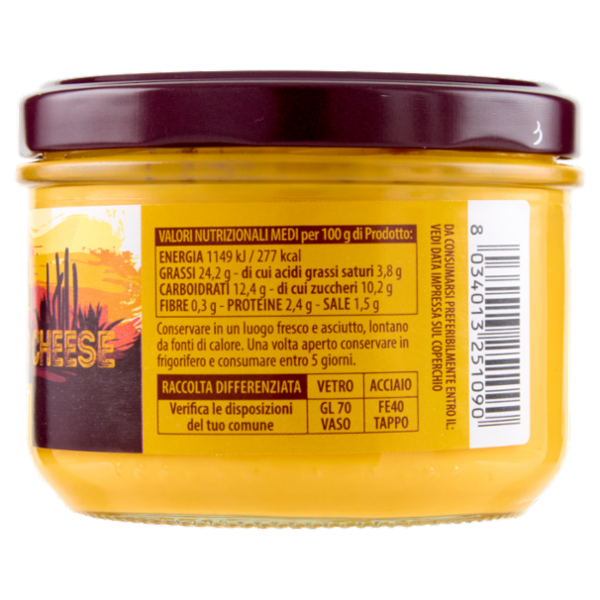 Mexicana Salsa Nacho Cheese Dip 220 g