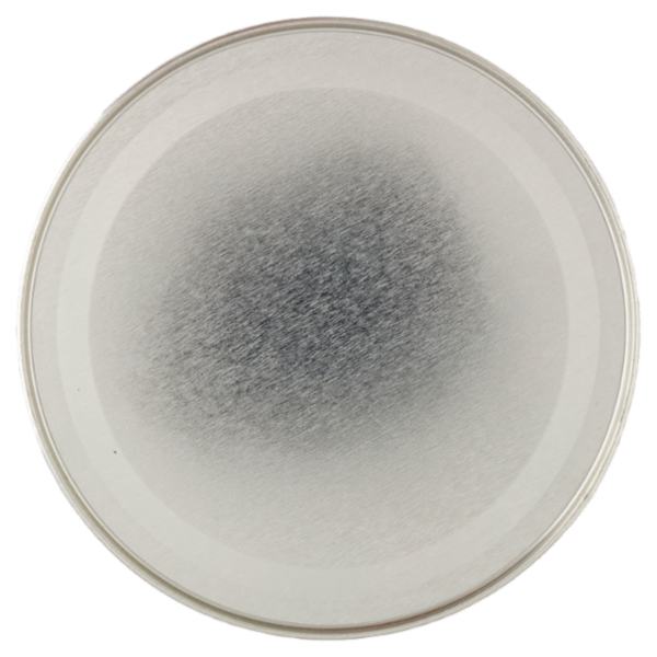 Performa Protein Shake Cookies Caramel, low sugar, 116kcal per shake - 10 porzioni - 340g