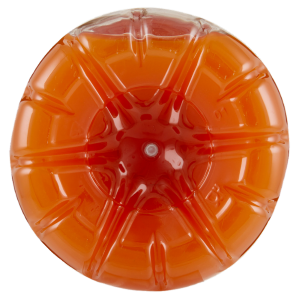 IL GIGANTE ACE Arancia Carota Limone 1 L