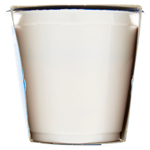 Selex Yogurt Intero Fragola con Frutta in Pezzi 2x125 g