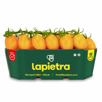 Lapietra Datterino Giallo G200