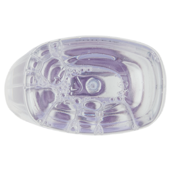 L'Oréal Paris Tonico Rimpolpante Revitalift Filler, Azione Detergente Anti-Età con Acido Ialuronico