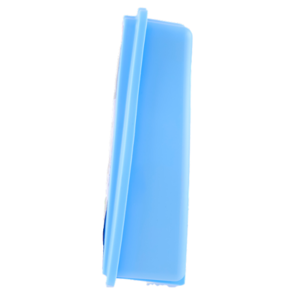 Felce Azzurra lavanda e iris Gel assorbiodori 140 g