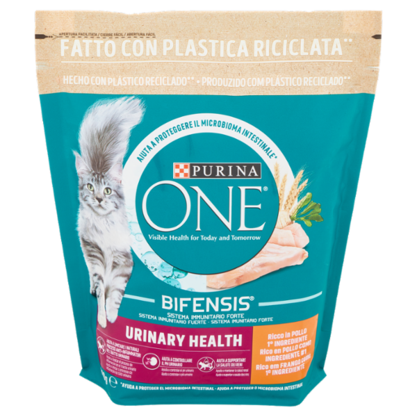 PURINA ONE Urinary Health Ricco in Pollo 800 g