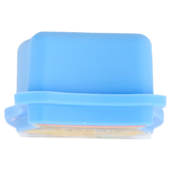 Felce Azzurra vaniglia e monoi Gel assorbiodori 140 g