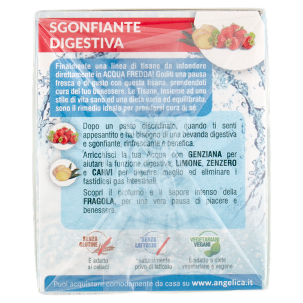 L'Angelica Tisana a Freddo Sgonfiante Digestiva 18 Filtri 39.6 g