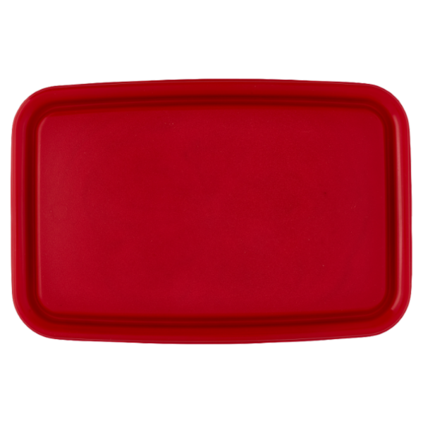 Selex Contenitore per Alimenti Freezer/Frigo Rettangolare 2,7 L