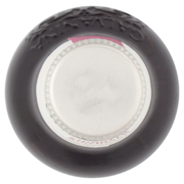 Galvanina Chinotto Biologico 355 ml