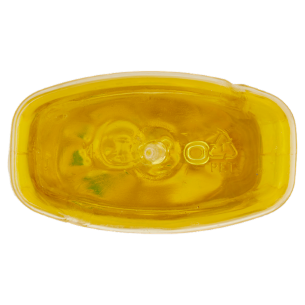 Winni's Naturel Piatti Concentrato Bergamotto e Zenzero 480 ml