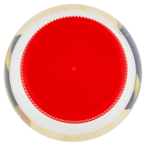 Latte Maremma yogurt da Bere Banana 225 g