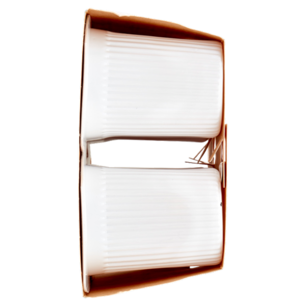 Náttúra Dessert di Riso alla Vaniglia Bio 4 x 100 g