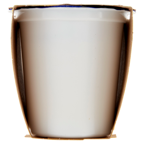 Centrale del latte Vicenza Yogurt Intero Frutta Frullata Limone 2 x 125 g