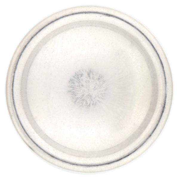 Breeze Neutro Minerals 0% Alcool Deodorante Spray 150 mL