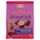 Sorini Fruit Crunchy Granola 200 g