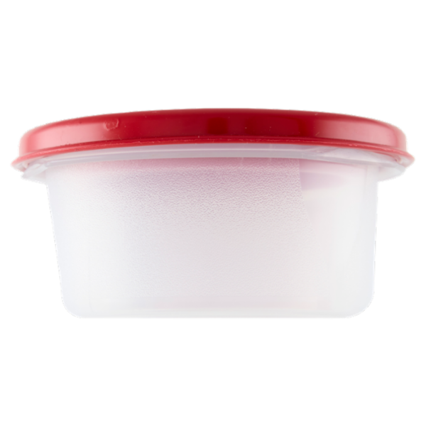 Selex Contenitore per Alimenti Freezer/Frigo Tondo 0,20 L