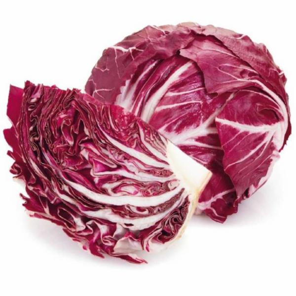 Radicchio Tondo