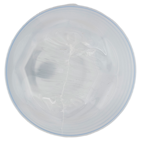 Selex Casa Bella Bicchieri per Cocktail Trasparenti 350 cc 6 pezzi