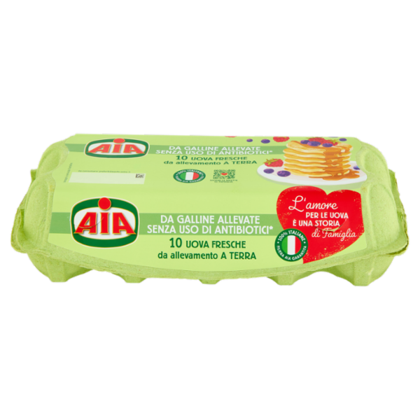Aia 10 Uova Fresche da allevamento a Terra 530 g