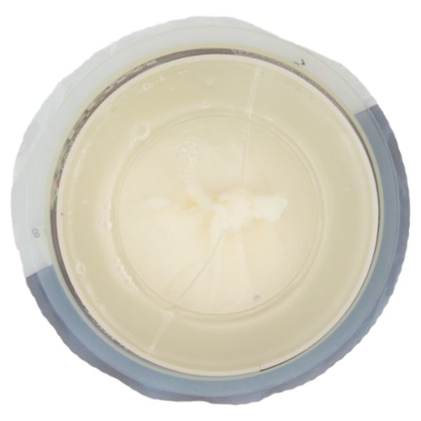 Selex Saper di Sapori Burrata 125 g