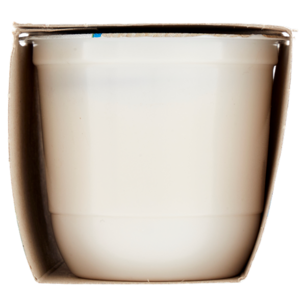 parmalat Yogurt Intero alla Banana Vellutato 2 x 125 g