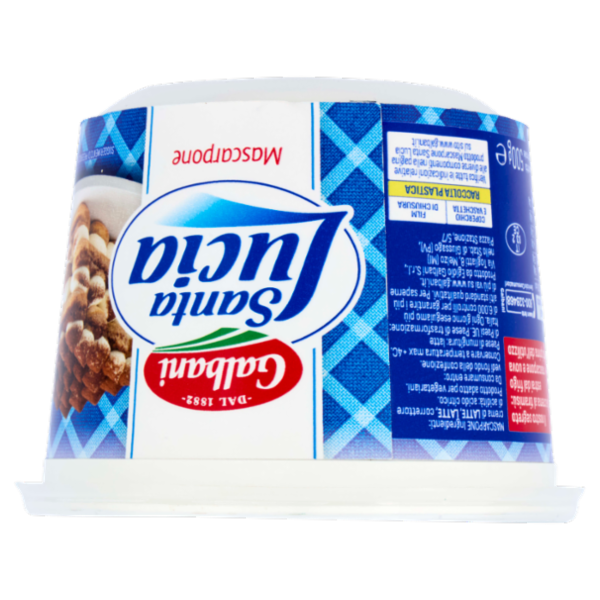 Galbani Santa Lucia Mascarpone 500 g