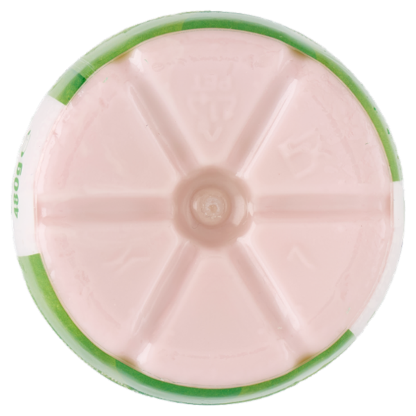 Milk Kefir Melograno e Lampone 480 g