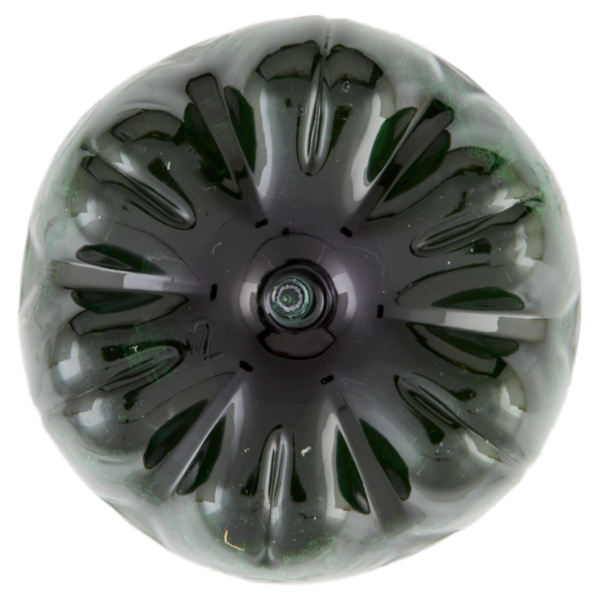 San Benedetto Thè Verde & Cactus Zero 0,5 L