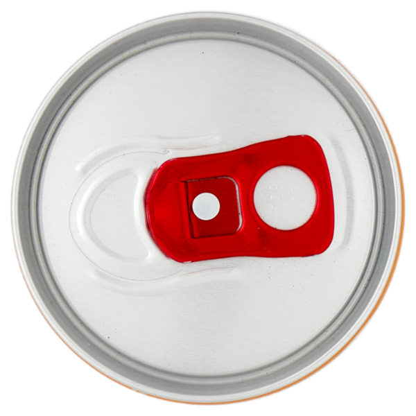 Tanqueray Flor De Sevilla Gin & Tonic 250 ml