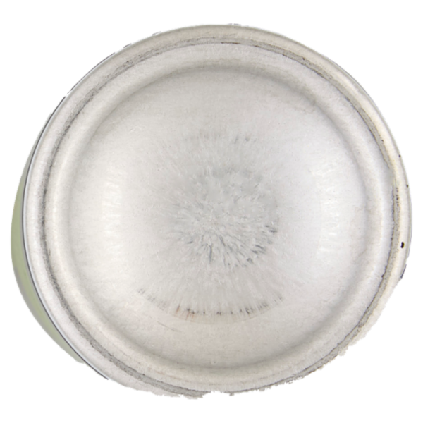 Dove Men+care advanced Sport Fresh Anti-Perspirant 150 ml