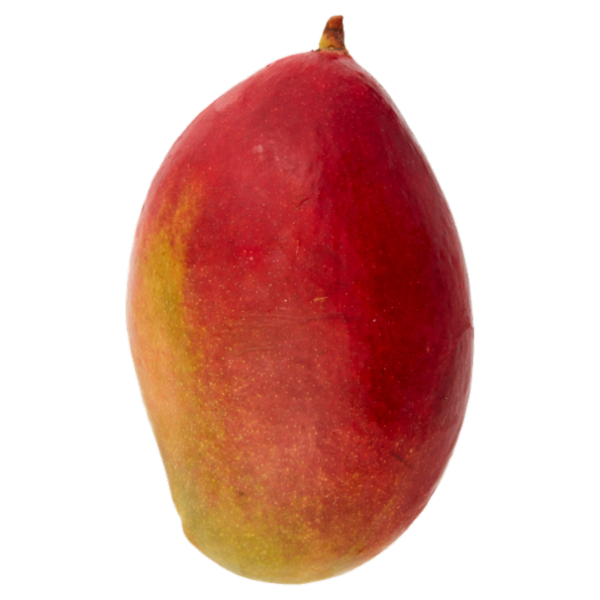 Selex Saper di Sapori Mango 380 g