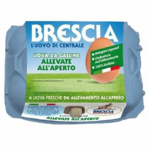 Centrale Latte Di Brescia 6 Uova da Galline Allevate all'Aperto
