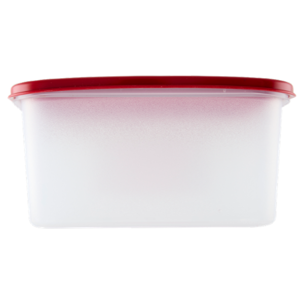 Selex Contenitore per Alimenti Freezer/Frigo Rettangolare 1,70 L