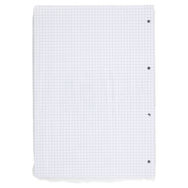 Selex Ricambio Bianco Quaxima Formato A4 40 Fogli Rinforzati 80 g Quadretti 5 mm