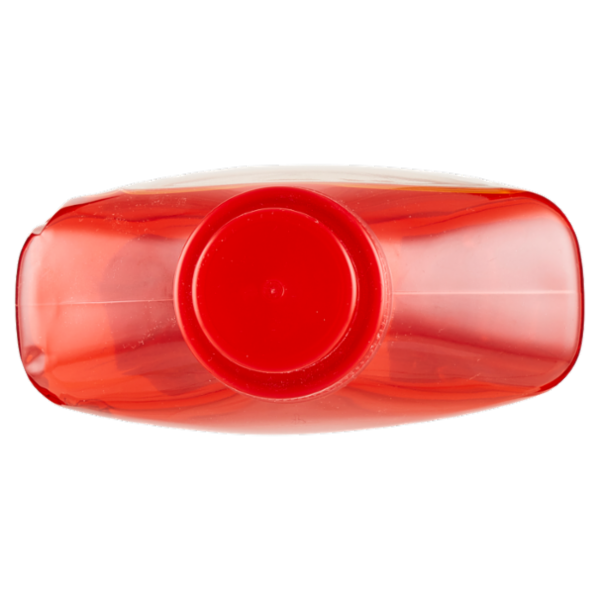 Consilia Detergente per Pavimenti allo Zenzero 1 L