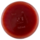 Rosso Gargano Passata di Puglia 690 g