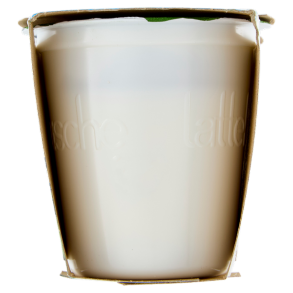 lattebusche Yogurt Bio Bianco 2 x 125 g