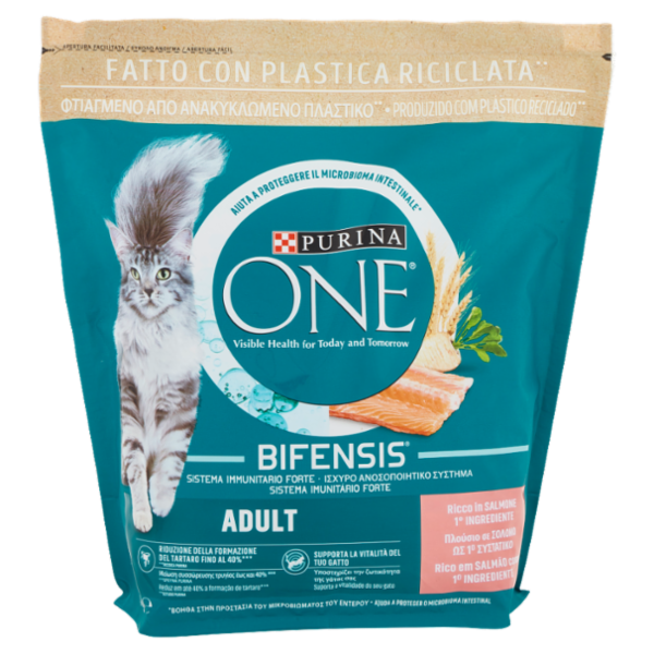 PURINA ONE Adult Ricco in Salmone 1,5 kg