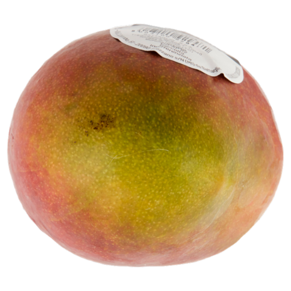 Selex Saper di Sapori Mango 380 g